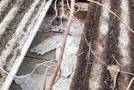 熊本市玉名郡での屋根工事（波型鉄板の張り付け）のサムネイル